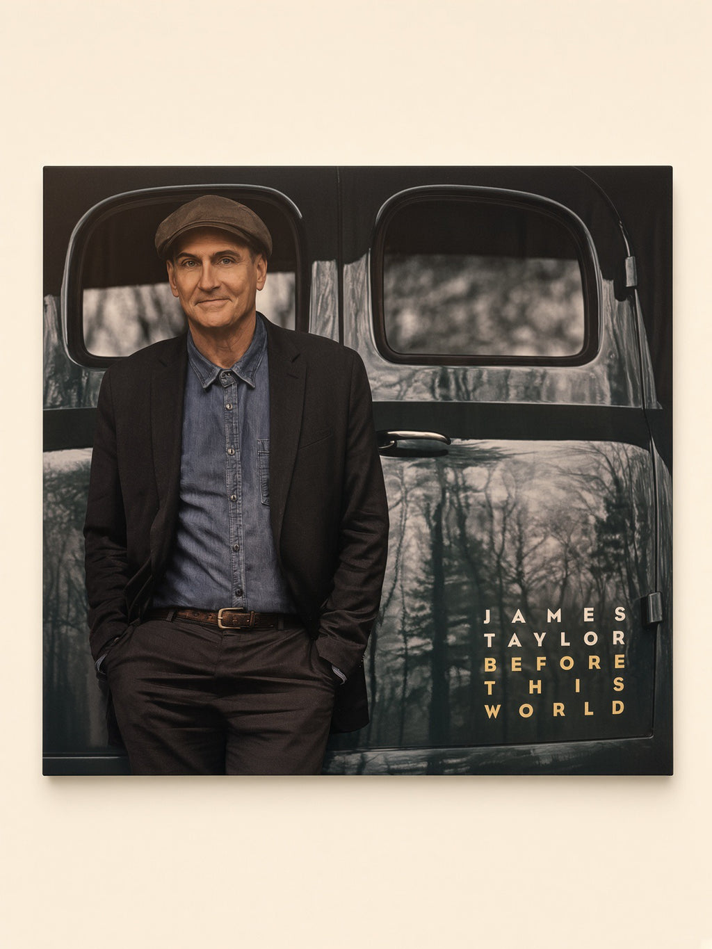 Before This World - James Taylor (Vinyl)