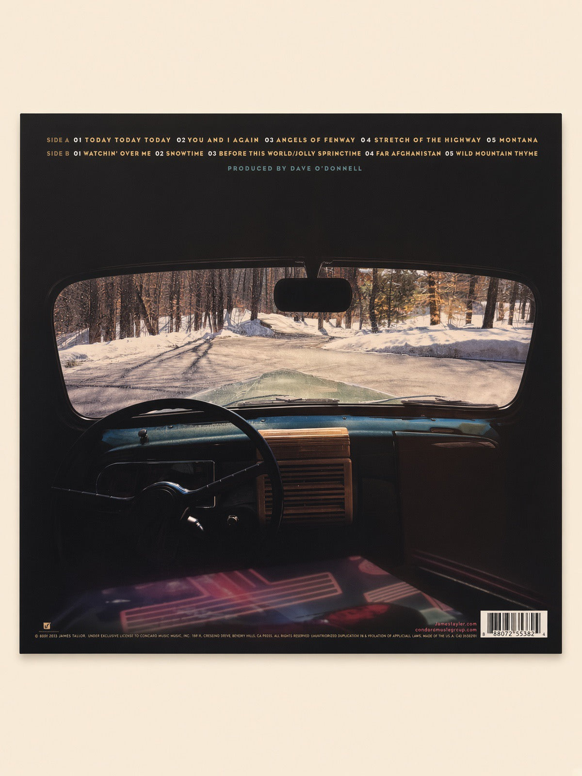 Before This World - James Taylor (Vinyl)