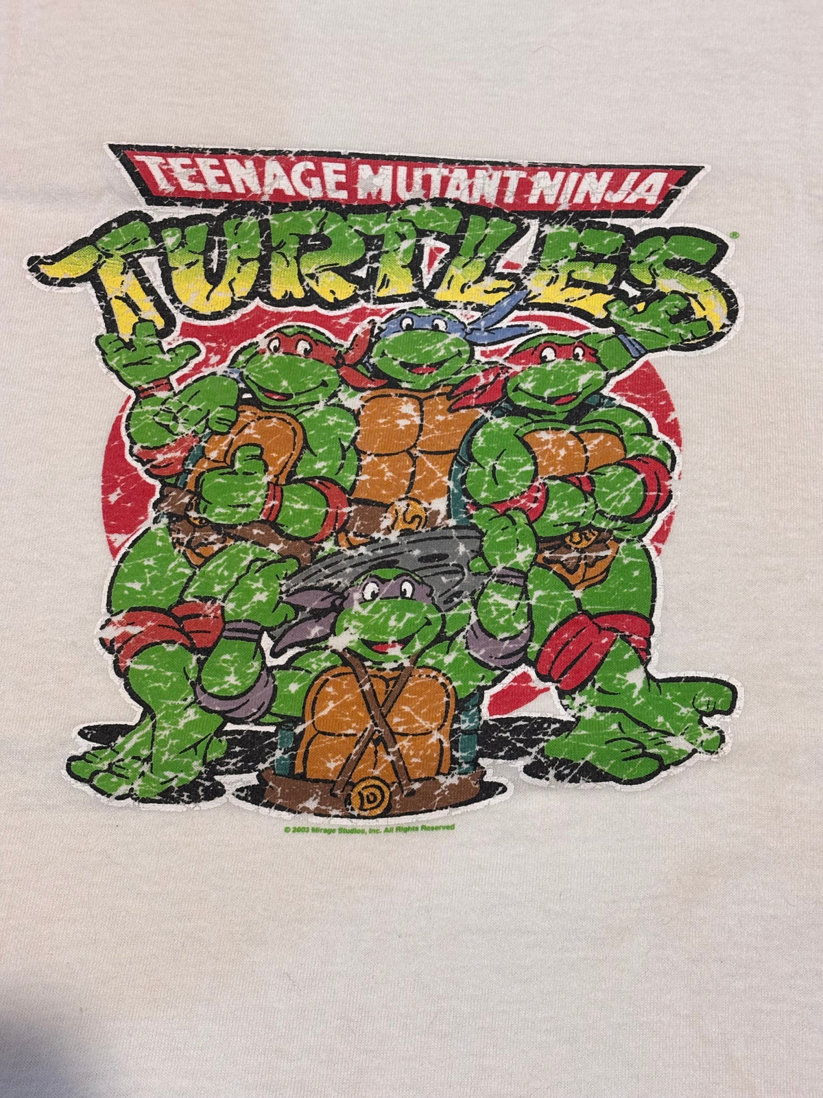 Close-up of Teenage Mutant Ninja Turtles group graphic print