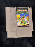 Teenage Mutant Ninja Turtles Video Game (NES)