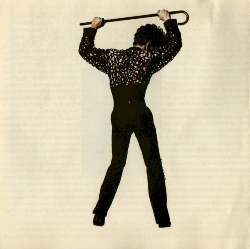 Prince – The Hits 2 (2-LP Vinyl)