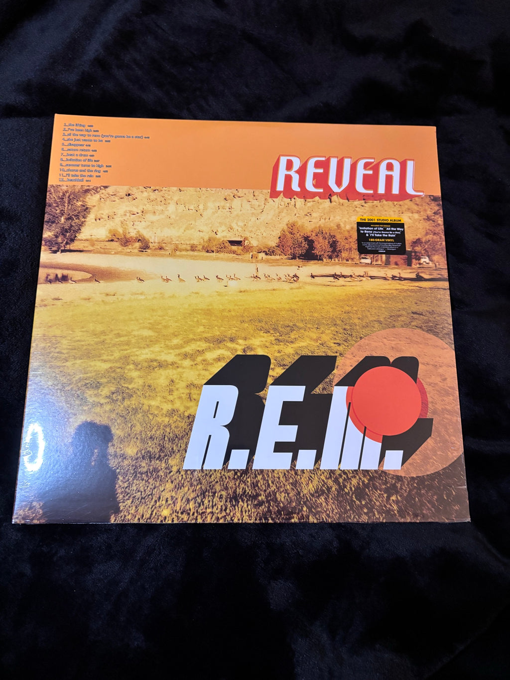 REM Reveal front